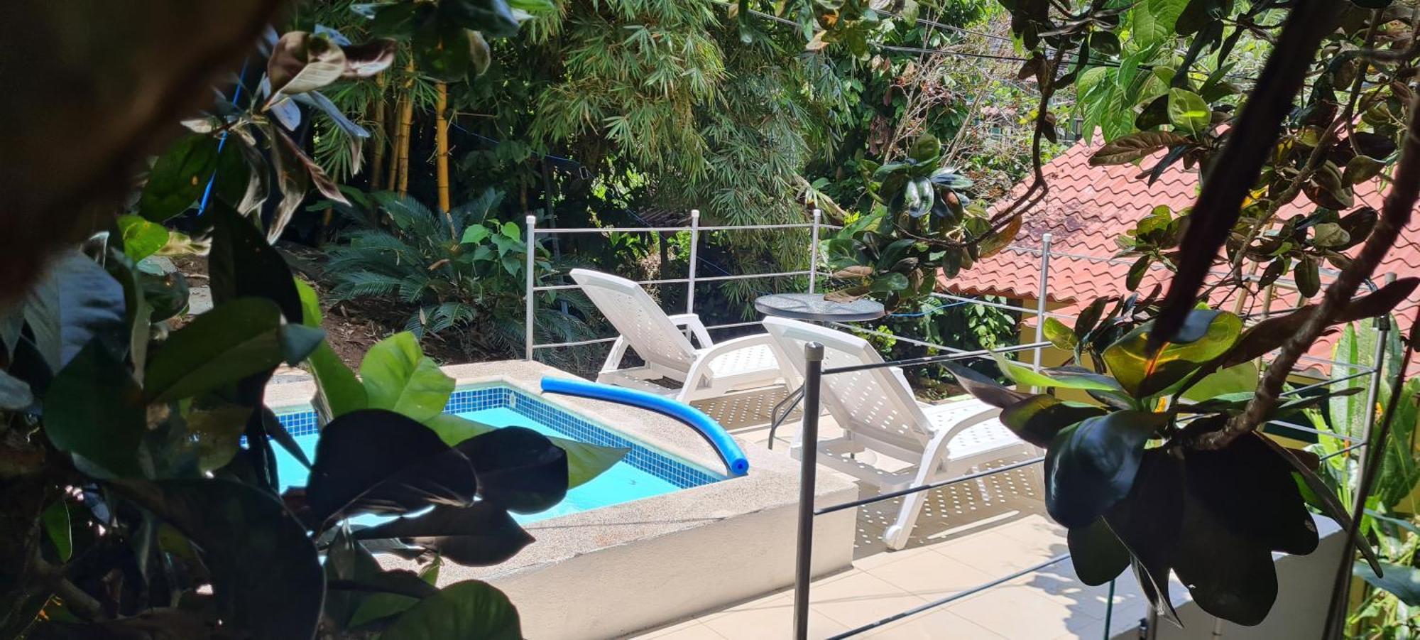 Jungle Beach Bungalow With Ac & Fiber Optic Puerto Viejo de Talamanca Extérieur photo